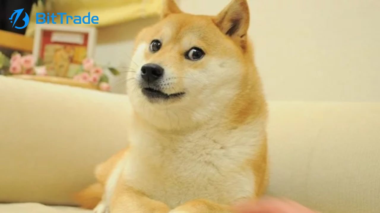 世界一有名なネットミーム柴犬「かぼすちゃん」人気の理由と魅力を紹介! | BitTrade Blog | 暗号資産・仮想通貨の情報サイト