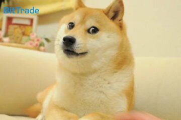 「かぼすちゃん」人気の理由と魅力を紹介!_アイキャッチ